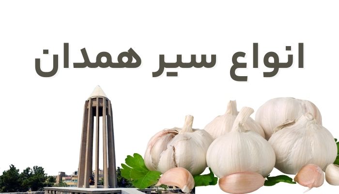 مقاله انواع سیر همدان و روستاهای ان