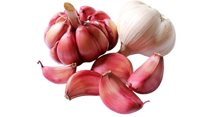مقاله انواع سیر همدان سیر تازه سیر ضرغامی