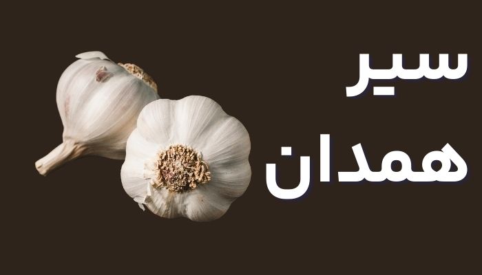 مقاله سیر همدان