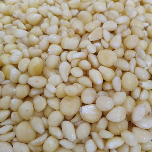 سیر کالباسی