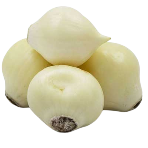 موسیر همدان