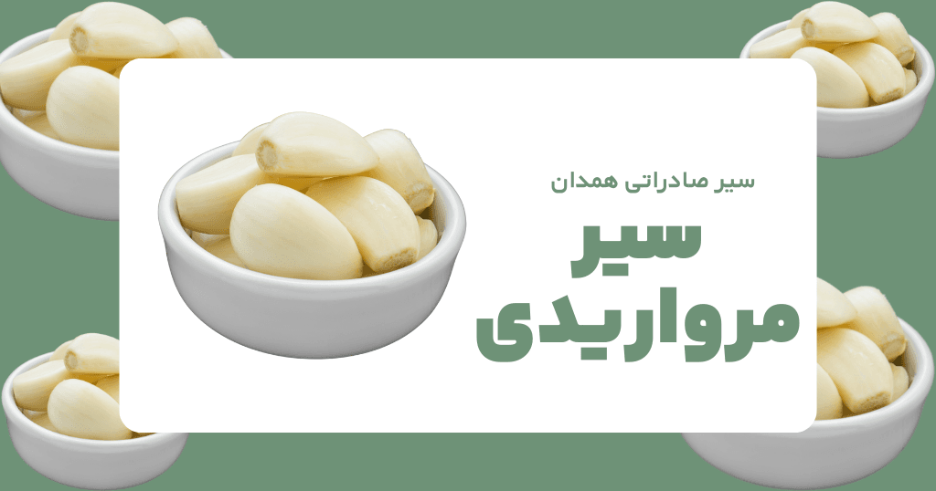 سیر مرواریدی دست پوست کن همدان