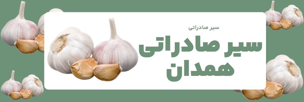 سیر صادراتی همدان- بازرگانی سیر ضرغامی